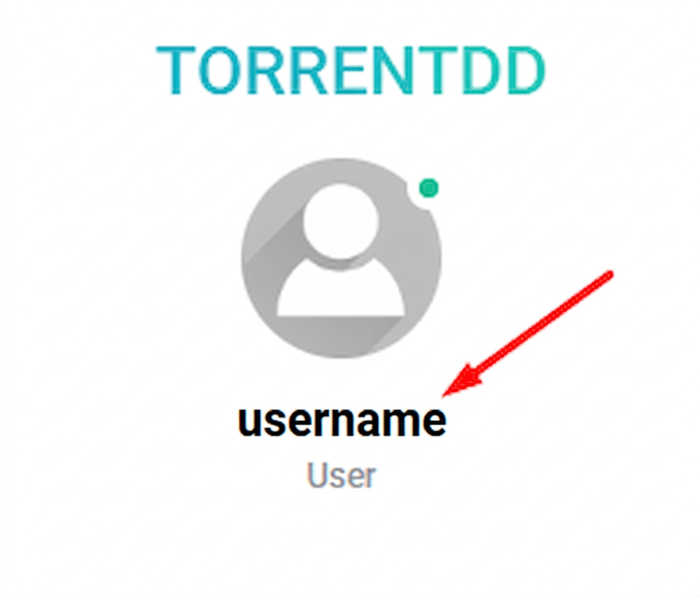 ตำแหน่ง Username บน TorrentDD